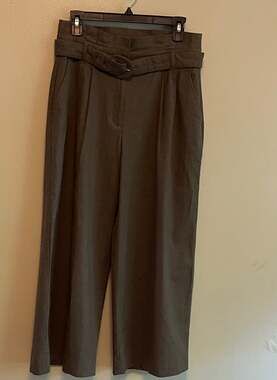 Express Career High Waist Belted Linen-Blend Wide Leg Pants in Olive Sz. 4